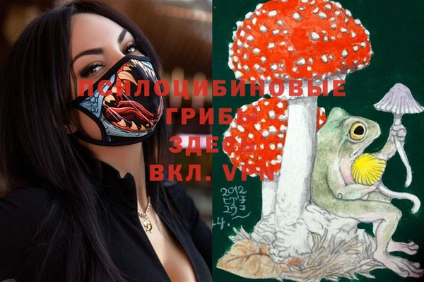 первитин Верея