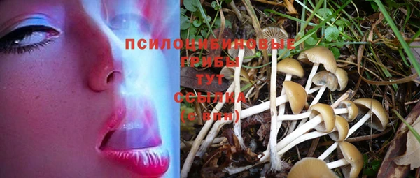 марки nbome Верхний Тагил
