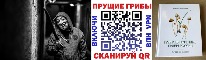 Псилоцибиновые грибы прущие грибы Волоколамск